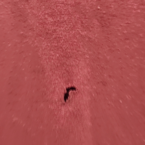 Warner Bros. Red Gryffindor Quidditch Tee - Picture 5 of 5